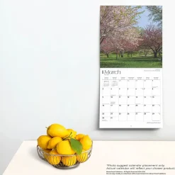 BrownTrout 2025 Rhode Island Wild & Scenic 12