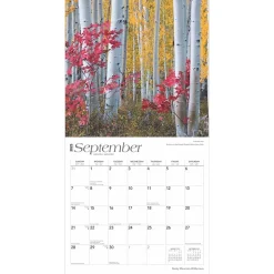 BrownTrout 2025 Rocky Mountain Wilderness 12