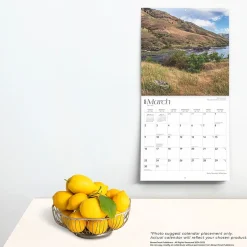 BrownTrout 2025 Rocky Mountain Wilderness 12