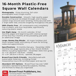 BrownTrout 2025 Scotland 12