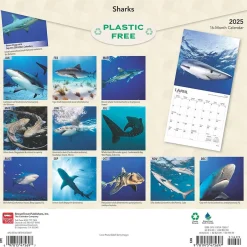 BrownTrout 2025 Sharks 12" x 12" Monthly Square Wall Calendar (9781975475697) Sale
