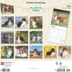 BrownTrout 2025 Shetland Sheepdogs 12" x 24" Monthly Square Wall Calendar, (9781975477721) Hot