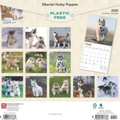 BrownTrout 2025 Siberian Husky Puppies 12" x 12" Monthly Wall Calendar (9781975477783) Hot