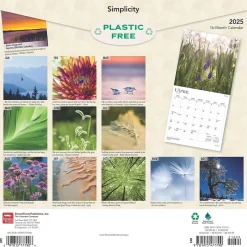 BrownTrout 2025 Simplicity 12" x 24" Monthly Square Wall Calendar, (9781975477790) Clearance