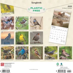 BrownTrout 2025 Songbirds 12" x 12" Monthly Square Wall Calendar (9781975477806) Best