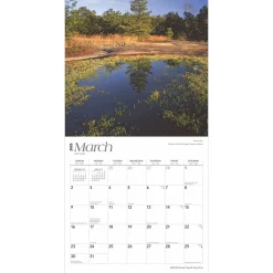 BrownTrout 2025 South Carolina Wild & Scenic 12