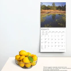 BrownTrout 2025 South Carolina Wild & Scenic 12