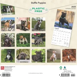 BrownTrout 2025 Staffordshire Bull Terriers Puppies 12" x 12" Monthly Square Wall Calendar (9781975475741) New