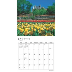 BrownTrout 2025 Tar Heel State North Carolina Places 12