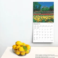 BrownTrout 2025 Tar Heel State North Carolina Places 12