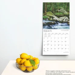 BrownTrout 2025 Tennessee Wild & Scenic 12