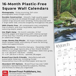 BrownTrout 2025 Tennessee Wild & Scenic 12