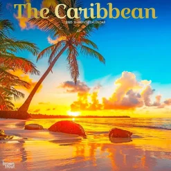 BrownTrout 2025 The Caribbean 12" x 12" Monthly Wall Calendar (9781975474584) New