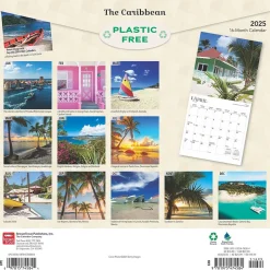 BrownTrout 2025 The Caribbean 12" x 12" Monthly Wall Calendar (9781975474584) New