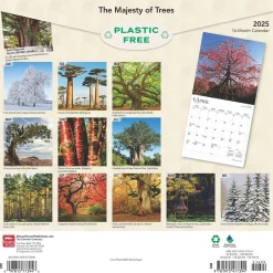 BrownTrout 2025 The Majesty of Trees 12" x 12" Monthly Square Wall Calendar (9781975477394) New