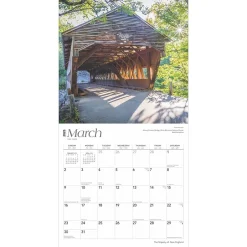 BrownTrout 2025 The Majesty of New England 12