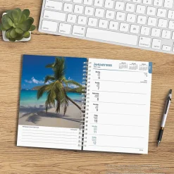 BrownTrout 2025 Tropical Islands 6