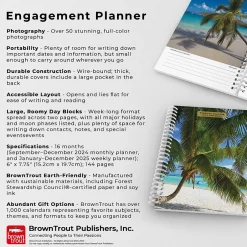 BrownTrout 2025 Tropical Islands 6