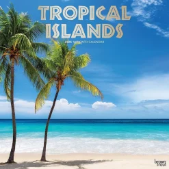 BrownTrout 2025 Tropical Islands 12" x 12" Monthly Wall Calendar (9781975477899)