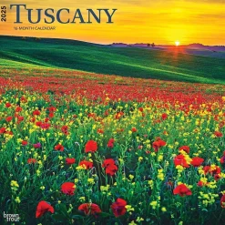 BrownTrout 2025 Tuscany 12" x 12" Monthly Wall Calendar (9781975476298)