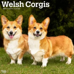 BrownTrout 2025 Welsh Corgis 12" x 12" Monthly Wall Calendar (9781975477950) Sale