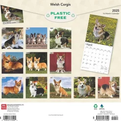 BrownTrout 2025 Welsh Corgis 12" x 12" Monthly Wall Calendar (9781975477950) Sale