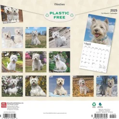 BrownTrout 2025 West Highland White Terriers 12" x 12" Monthly Wall Calendar (9781975477974) Online