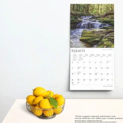 BrownTrout 2025 West Virginia Wild & Scenic 12