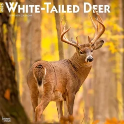 BrownTrout 2025 White Tailed Deer 12" x 12" Monthly Wall Calendar (9781975477998) Clearance