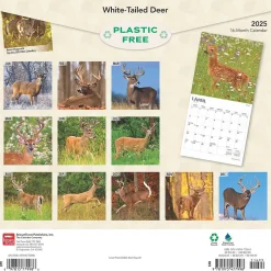 BrownTrout 2025 White Tailed Deer 12" x 12" Monthly Wall Calendar (9781975477998) Clearance