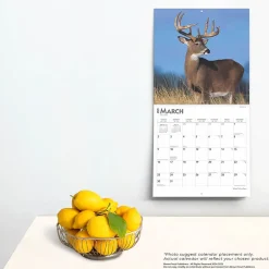 BrownTrout 2025 White Tailed Deer 12