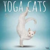 BrownTrout 2025 Yoga Cats 12" x 24" Monthly Square Wall Calendar, (9781975479862) New