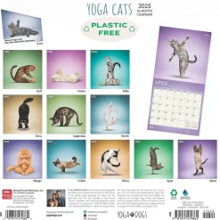 BrownTrout 2025 Yoga Cats 12" x 24" Monthly Square Wall Calendar, (9781975479862) New
