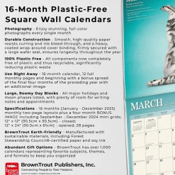 BrownTrout 2025 Yoga Cats 12