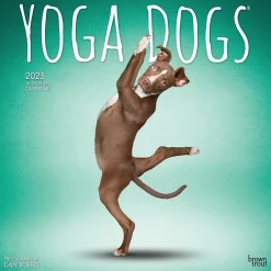 BrownTrout 2025 Yoga Dogs 12" x 12" Monthly Wall Calendar (9781975479879)
