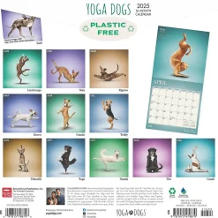 BrownTrout 2025 Yoga Dogs 12" x 12" Monthly Wall Calendar (9781975479879)