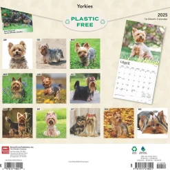 BrownTrout 2025 Yorkshire Terriers 12" x 12" Monthly Wall Calendar (9781975478001) Best