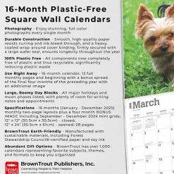 BrownTrout 2025 Yorkshire Terriers 12