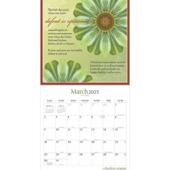 BrownTrout 2025 Brush Dance A Fearless Woman 12