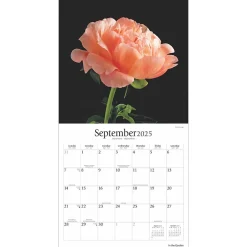 Brush Dance 2025 In the Garden 12