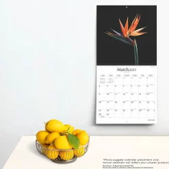 Brush Dance 2025 In the Garden 12