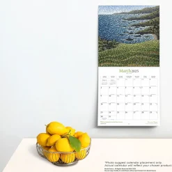 BrownTrout 2025 Brush Dance Points of Light 12