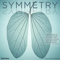 BrownTrout 2025 Brush Dance Symmetry 12" x 12" Monthly Wall Calendar (9781975481445) Hot