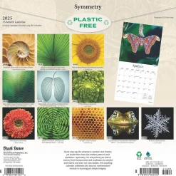 BrownTrout 2025 Brush Dance Symmetry 12" x 12" Monthly Wall Calendar (9781975481445) Hot
