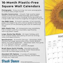 BrownTrout 2025 Brush Dance Symmetry 12