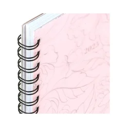 Cambridge 2025 Alicia 5.5