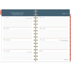 Cambridge 2024-2025 Bridgette 5.5" x 8.5" Academic Weekly & Monthly Planner, Poly Cover, Multicolor (1712-200A-25) Online