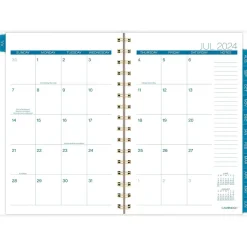 Cambridge 2024-2025 Chromatic 5.5