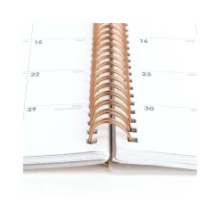 Cambridge 2025 Mina 8.5