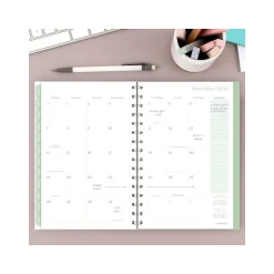 Cambridge 2025 Ombre 5.5